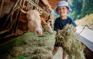 formation avant installation agriculteurs