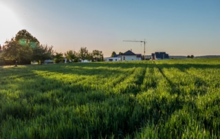 foncier-livret-épargne-vert-terres-agricoles