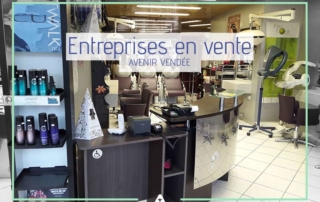Entreprises à vendre - Vendée La Roche sur Yon