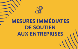 mesures immédiates de soutien aux entreprises